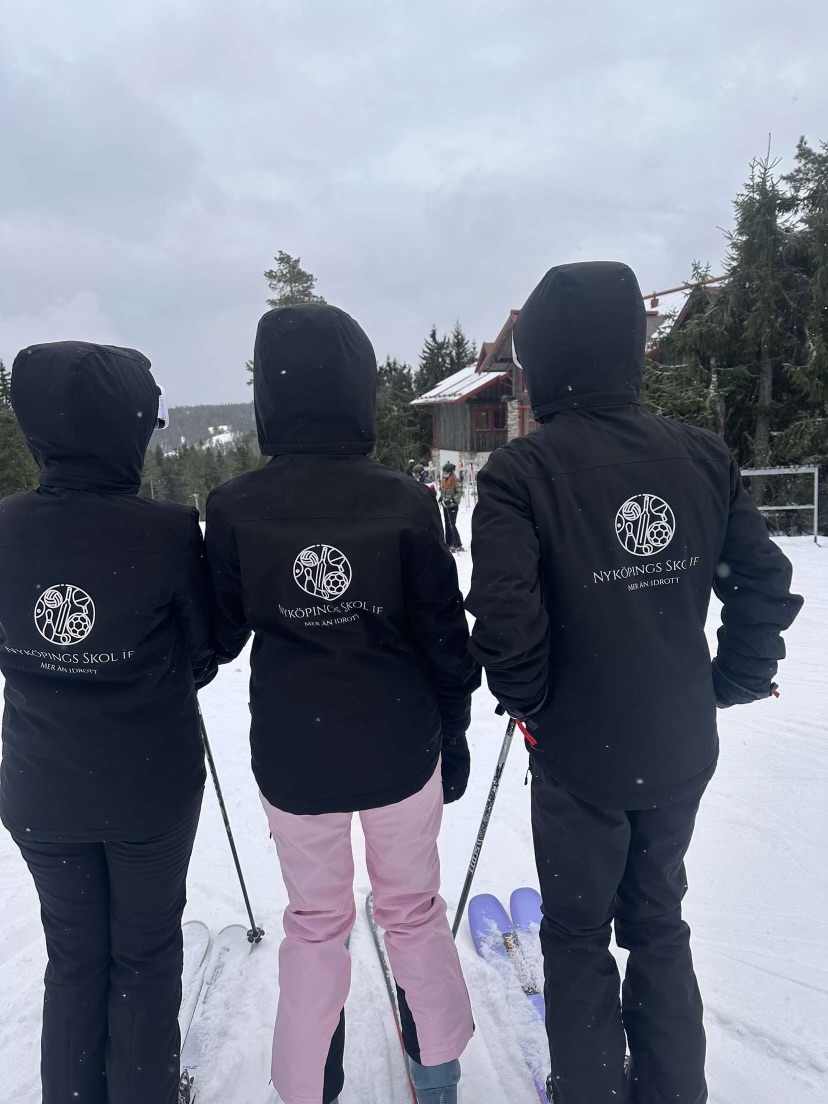 Skol-IF-loppet